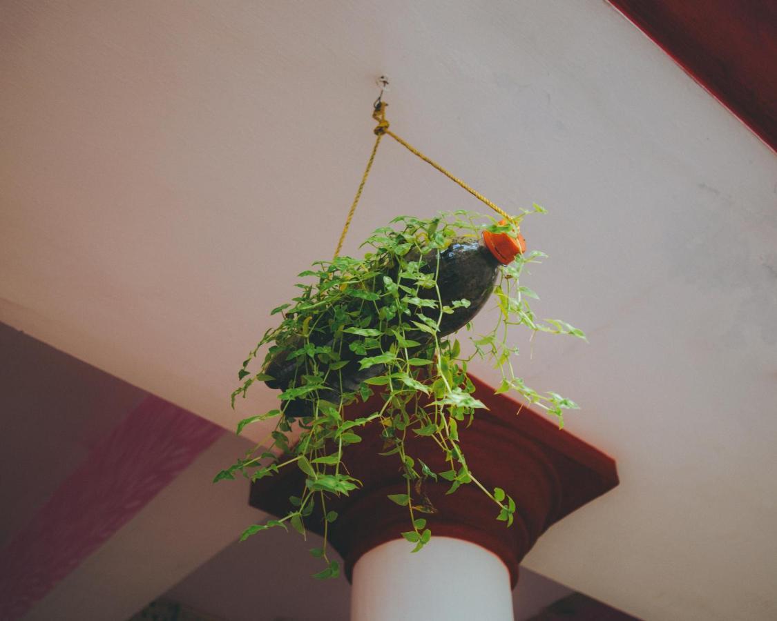 Hostelexp, Varkala - A Beach Town Hostel 外观 照片